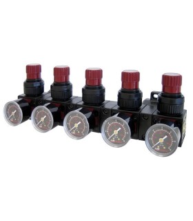 1/4" Battery-Powered Pressure Regulator | Buy online