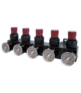 REGOLATORE DI PRESSIONE A BATTERIA DA 1/4"