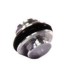 Capuchon de module 1531C00010 | Acheter en ligne