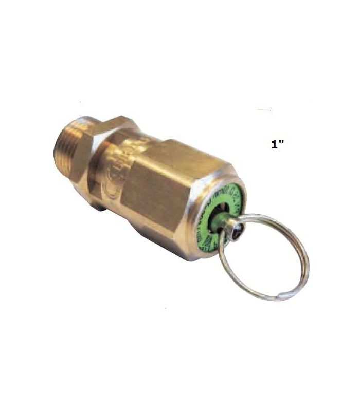 1" SAFETY VALVE SET