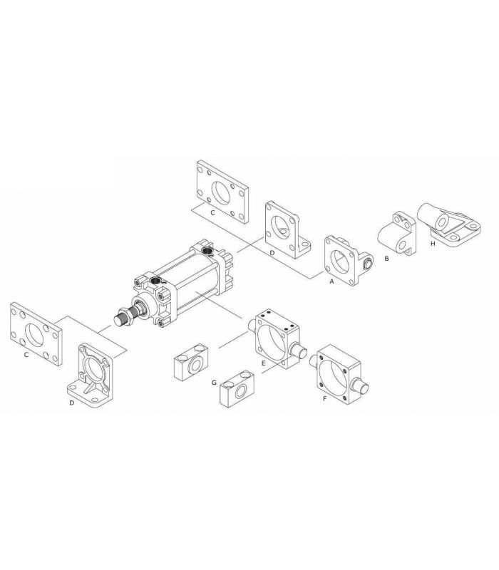HIGH SQUAD CNOMO PCN