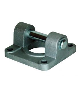 CHARNELA HEMBRA CNOMO PCN