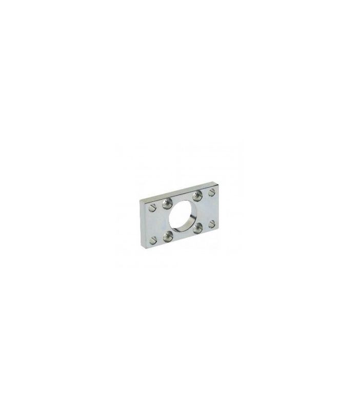 BRIDA PLANA INOX