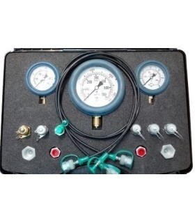 Manomètre Hydraulique Schläfer 0-10 Bar - Raccord Radial 1/4" - Pour Systèmes Thermiques Et Eau