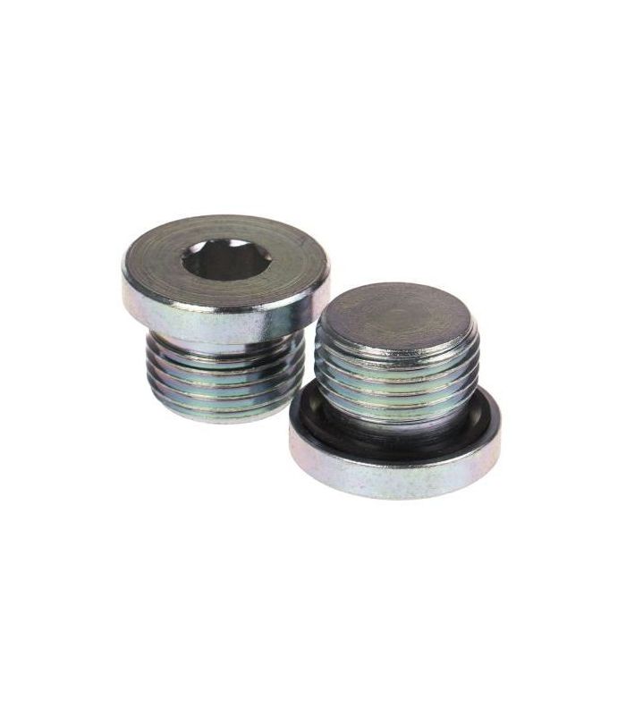 ALLEN MALE PLUG WITH GASKET