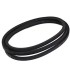 D-BELT | Buy online at the best price