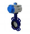 WAFER DISC CAST IRON DOUBLE ACTING BUTTERFLY VALVE