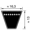 CEINTURE TRAPÉZOÏDALE SPB