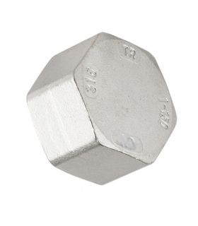 FIG 300 FICHE FEMELLE EN ACIER INOXYDABLE 316