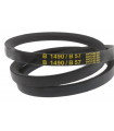 CEINTURE TRAPÉZIDIENNE B