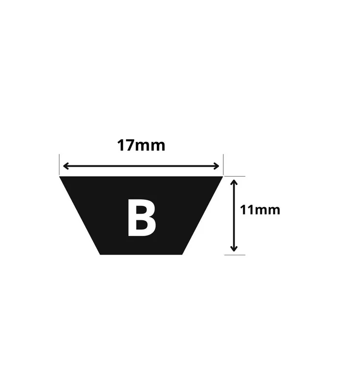 CEINTURE TRAPÉZIDIENNE B