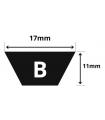 CINTURÃO TRAPEZOIDAL B