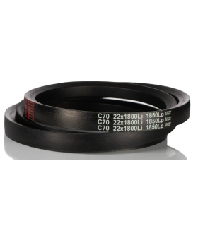 CINTURÃO TRAPEZOIDAL C