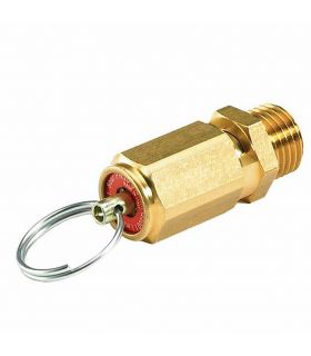 VALVULA DE SEGURIDAD 1/8" TARADA