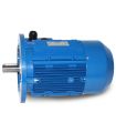 MOTORE ELETTRICO TRIFASE B5