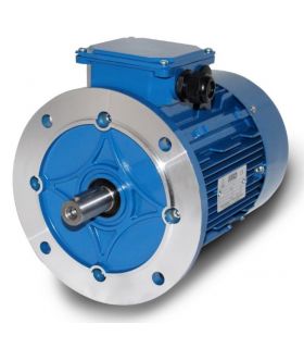 MOTOR ELÉCTRICO TRIFÁSICO B5