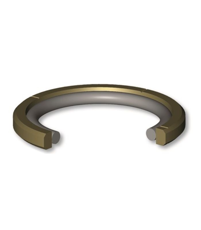 DOUBLE ACTING PISTON SEAL