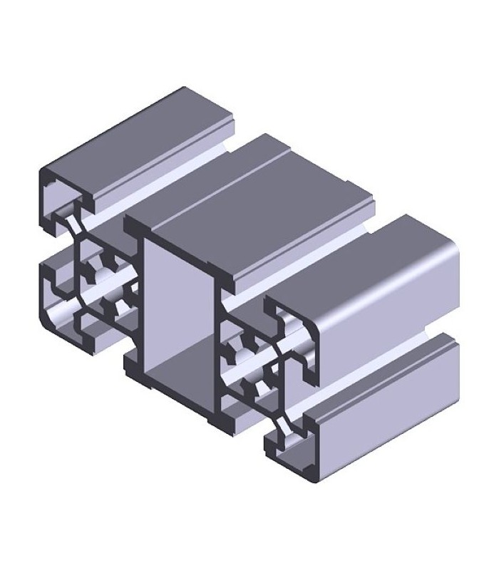 LIGHTWEIGHT STRUCTURAL ALUMINUM PROFILE 50x100 | Cut to size