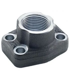 SAE STRAIGHT THREADED FLANGE FOR GASKET