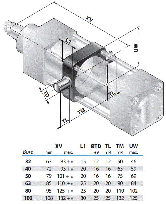 FIJACION CENTRAL OSCILANTE INOX