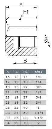 TAPON HEMBRA HEXAGONAL